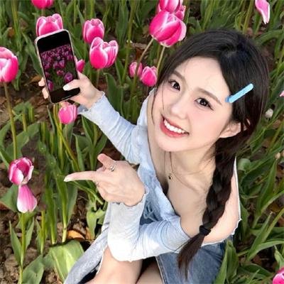 彩叶草之梦